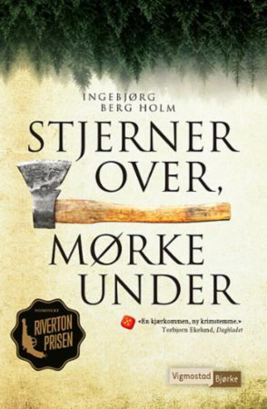Stjerner over, mørke under av Ingebjørg Berg Holm