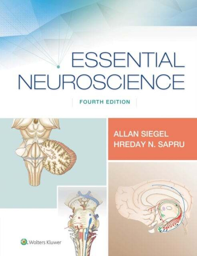 Essential Neuroscience av Dr. Allan Ph.D. Siegel, Dr. Hreday N. Ph.D. Sapru