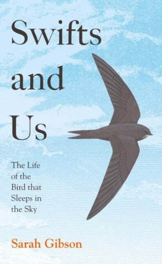 Swifts and Us av Sarah Gibson