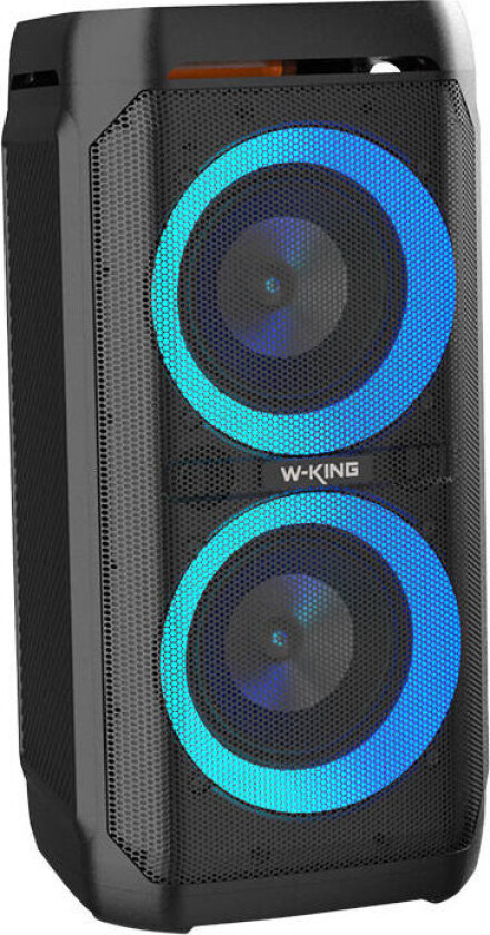 Wireless Bluetooth Speaker T11 100W (black)