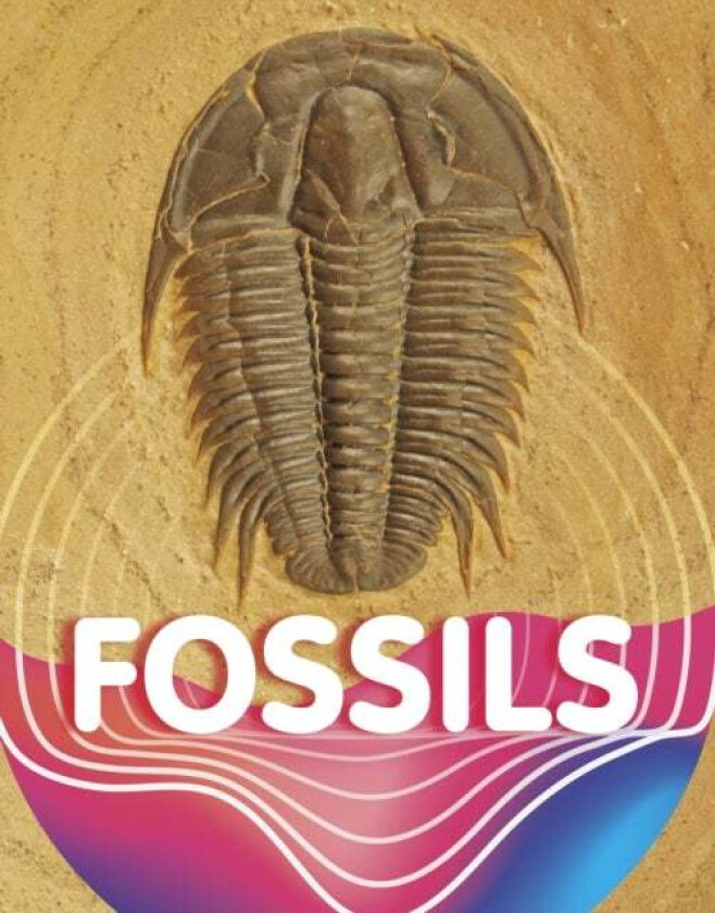 Fossils av Keli Sipperley