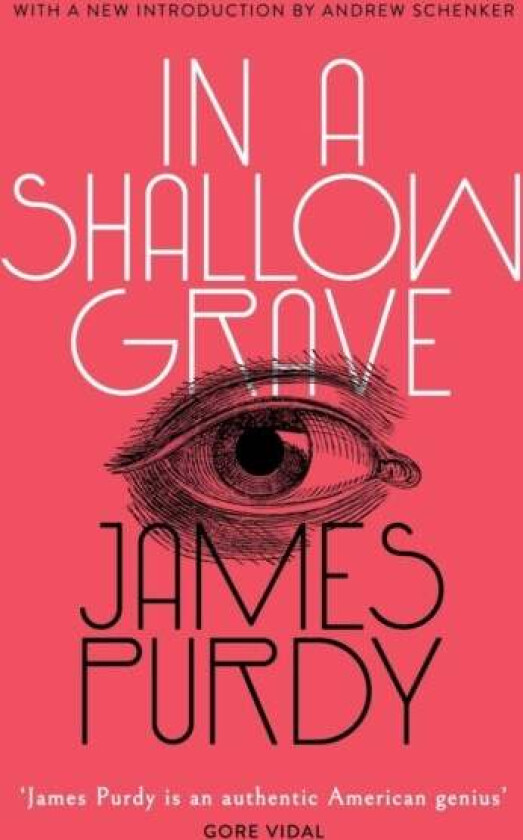 In a Shallow Grave (Valancourt 20th Century Classics) av James Purdy