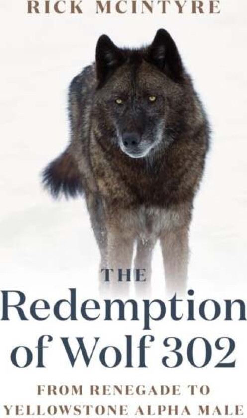 The Redemption of Wolf 302 av Rick McIntyre