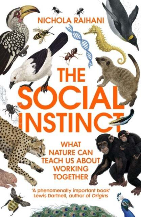 The Social Instinct av Nichola Raihani