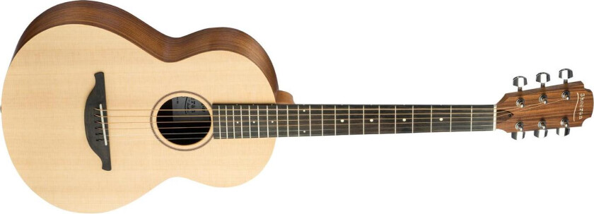 W-02 W/pickup Indian Rosewood Back - Sitka Spruce Top