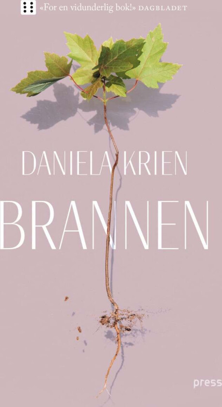 Brannen av Daniela Krien