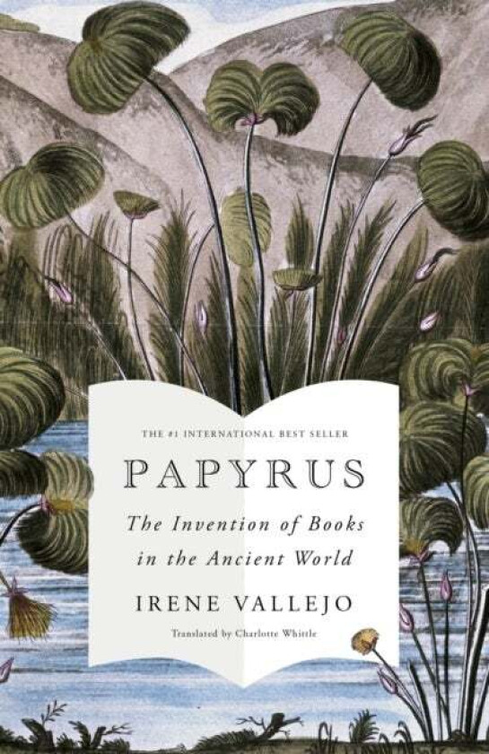 Papyrus av Irene Vallejo
