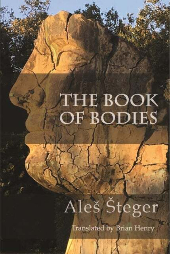 The Book of Bodies av Ales Steger
