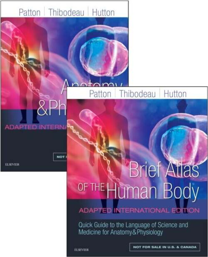 Anatomy and Physiology av Kevin T. PhD (Professor Emeritus Life Sciences St. Charles Community College Cottleville MO Professor of Human Anatomy &