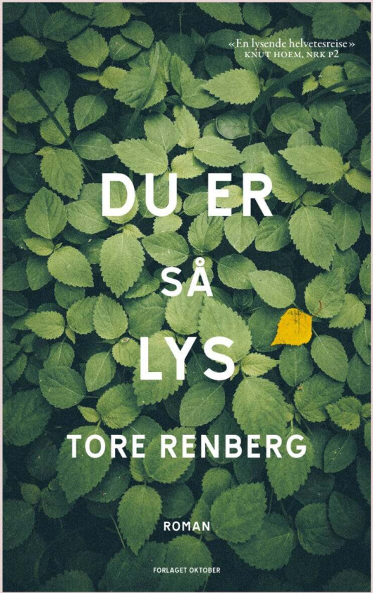 Du er så lys av Tore Renberg