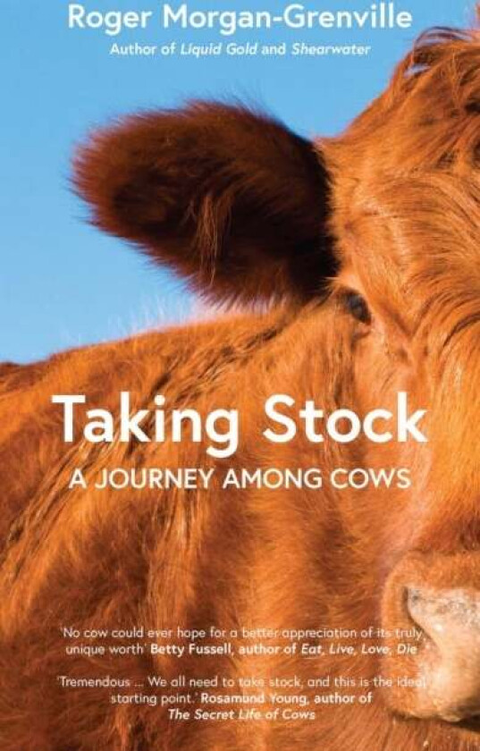 Taking Stock av Roger Morgan-Grenville