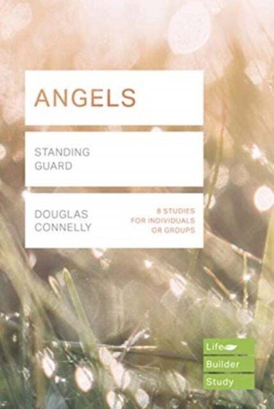 Angels (Lifebuilder Study Guides) av Douglas Connelly