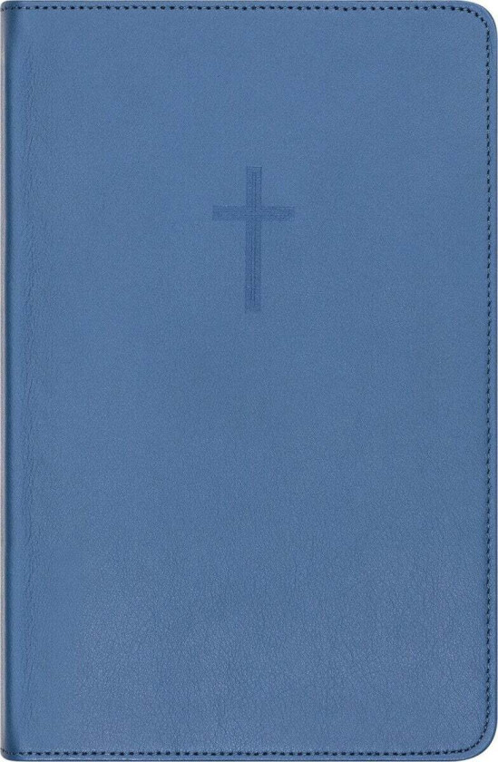 Bibel 2024