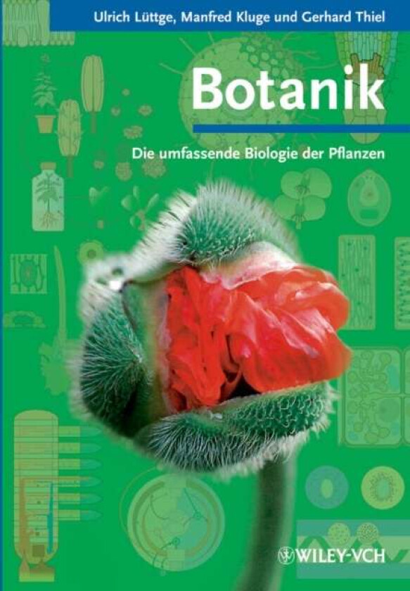 Botanik av Ulrich (TU Darmstadt) Luttge, Manfred (TU Darmstadt) Kluge, Gerhard (TU Darmstadt) Thiel
