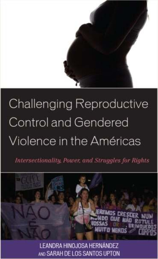 Challenging Reproductive Control and Gendered Violence in the Americas av Leandra Hinojosa Hernandez, Sarah De Los Santos Upton