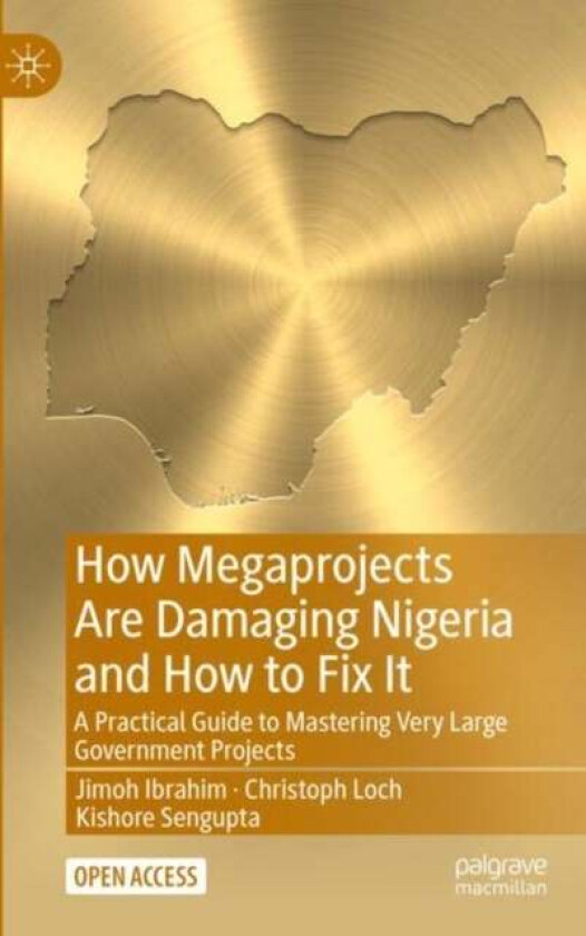 How Megaprojects Are Damaging Nigeria and How to Fix It av Jimoh Ibrahim, Christoph Loch, Kishore Sengupta