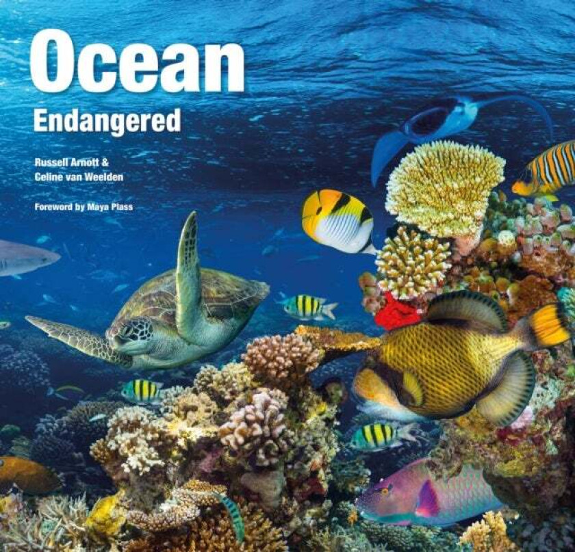 Ocean Endangered av Russell Arnott, Celine Van Weelden