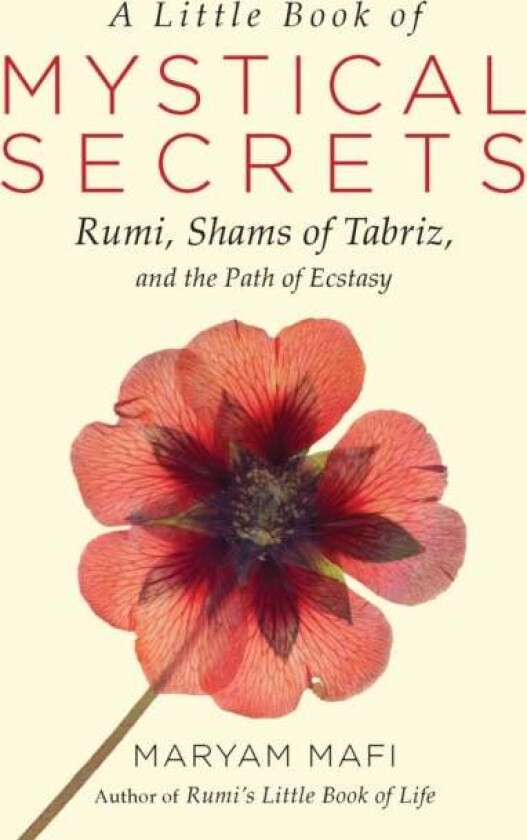A Little Book of Mystical Secrets av Maryam (Maryam Mafi) Mafi
