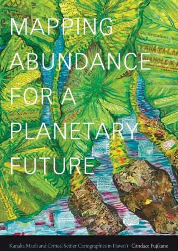 Mapping Abundance for a Planetary Future av Candace Fujikane