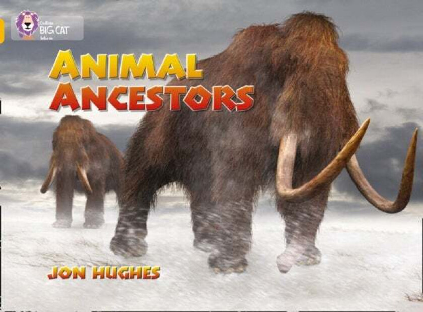 Animal Ancestors av Jon Hughes