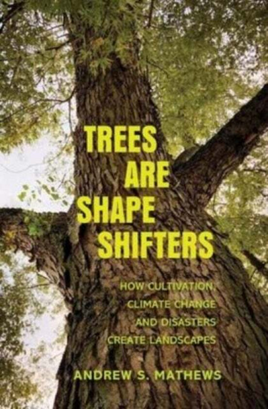 Trees Are Shape Shifters av Andrew S. Mathews