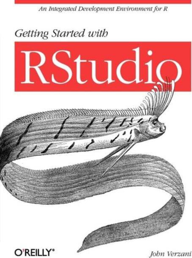 Getting Started with Rstudio av John Verzani