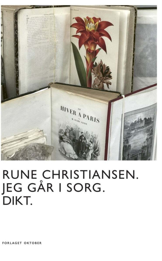 Jeg går i sorg av Rune Christiansen