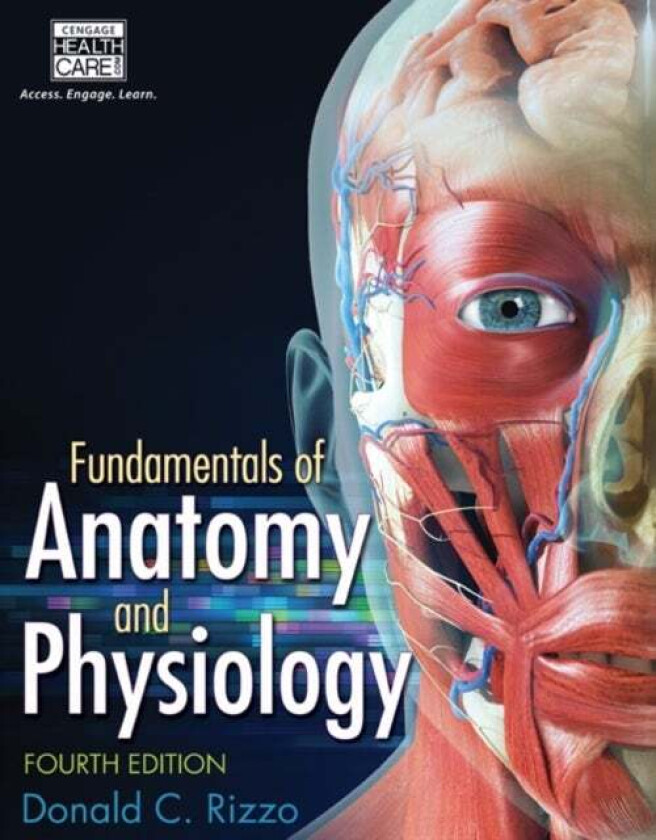 Fundamentals of Anatomy and Physiology av Donald (Maragrove College) Rizzo