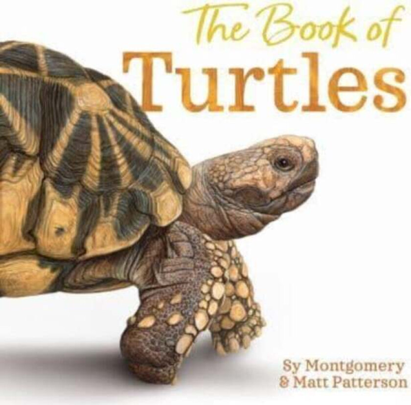 The Book of Turtles av Sy Montgomery
