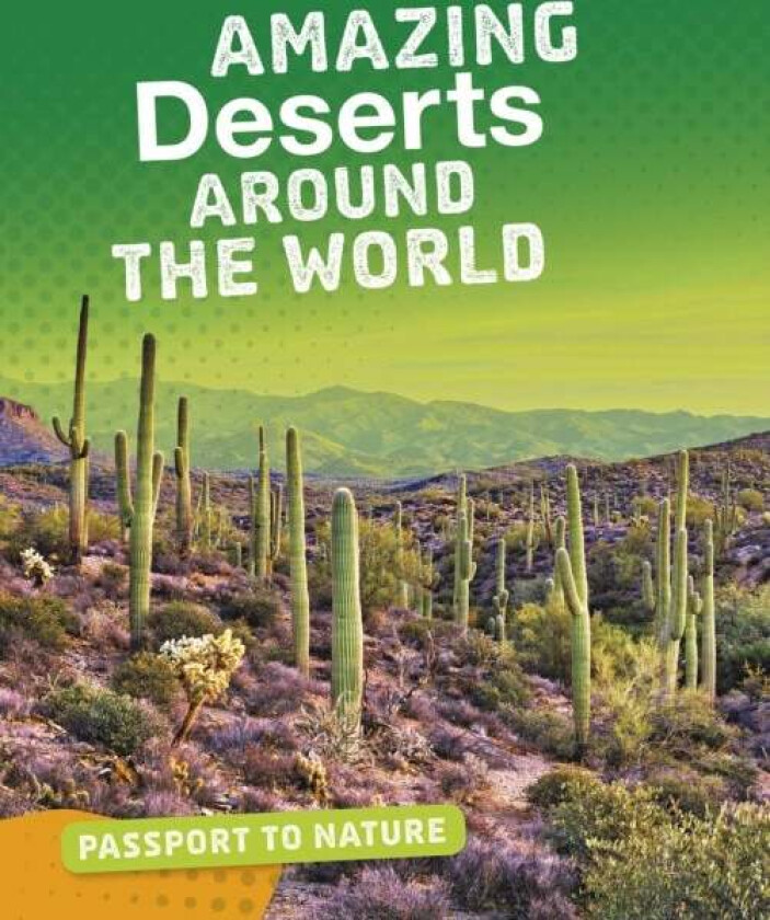 Amazing Deserts Around the World av Rachel Castro