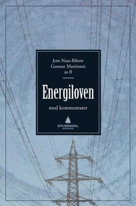 Energiloven av Gunnar Martinsen, Jens Naas-Bibow