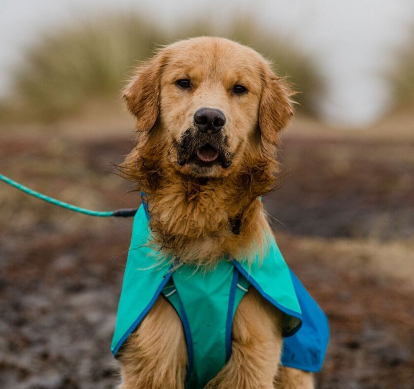 Ruffwear Sun Shower Regnjakke Lyse Blå (XL)
