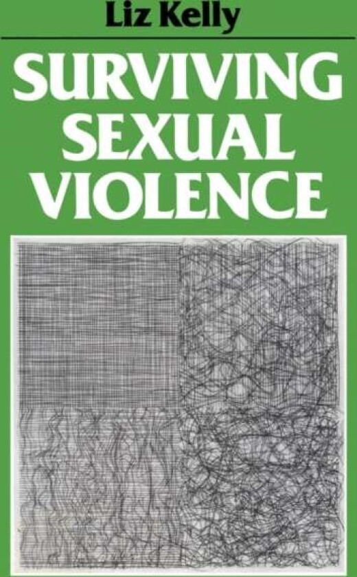 Surviving Sexual Violence av Liz Kelly