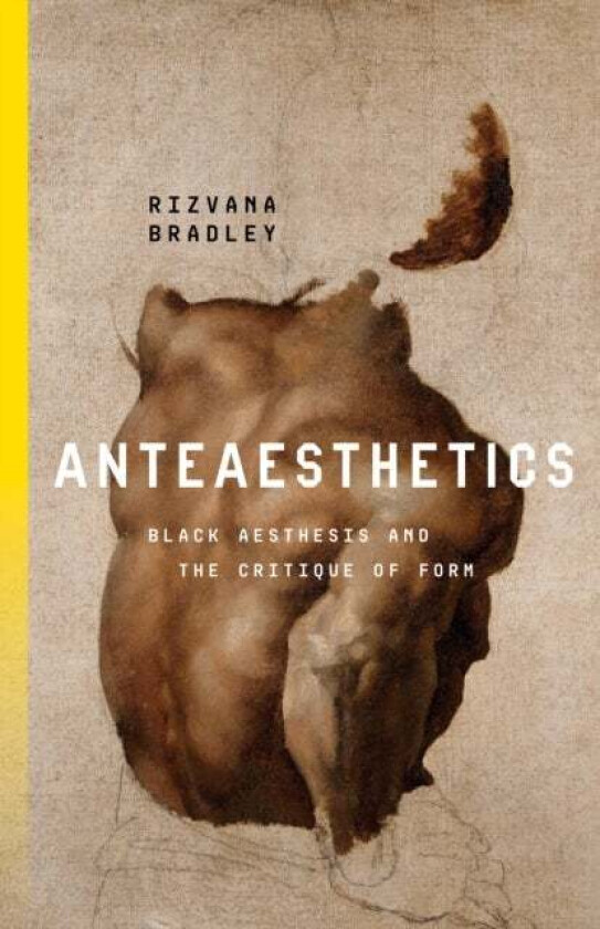 Anteaesthetics av Rizvana Bradley