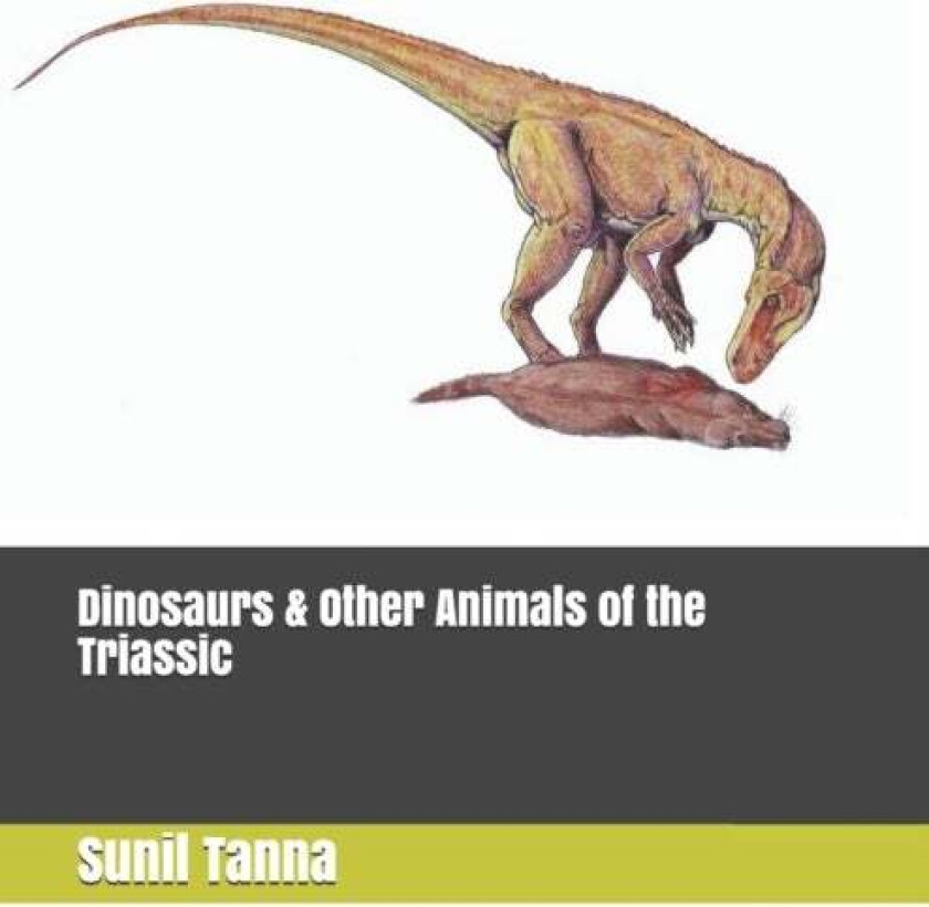 Dinosaurs & Other Animals of the Triassic av Sunil Tanna