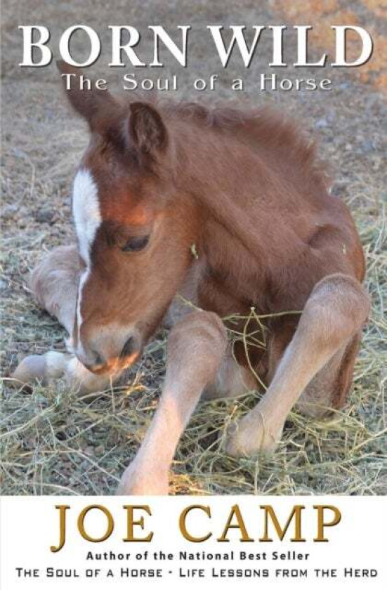 Born Wild - The Soul of a Horse av Joe Camp