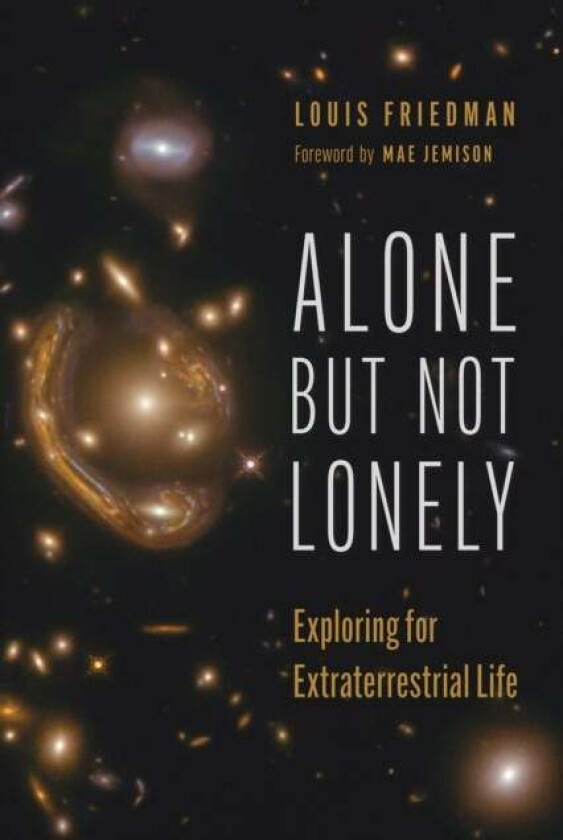 Alone but Not Lonely av Louis Friedman