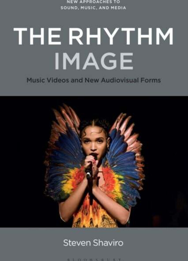 The Rhythm Image av Professor or Dr. Steven (DeRoy Professor of English Wayne State University USA) Shaviro