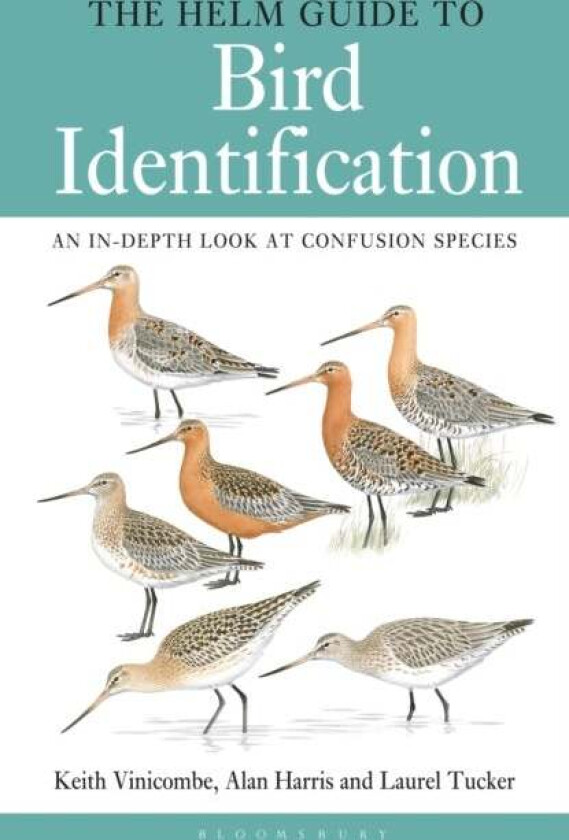 The Helm Guide to Bird Identification av Keith Vinicombe