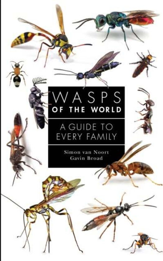 Wasps of the World av Simon van Noort, Gavin Broad