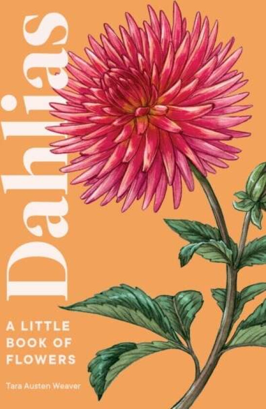 Dahlias av Tara Austen Weaver