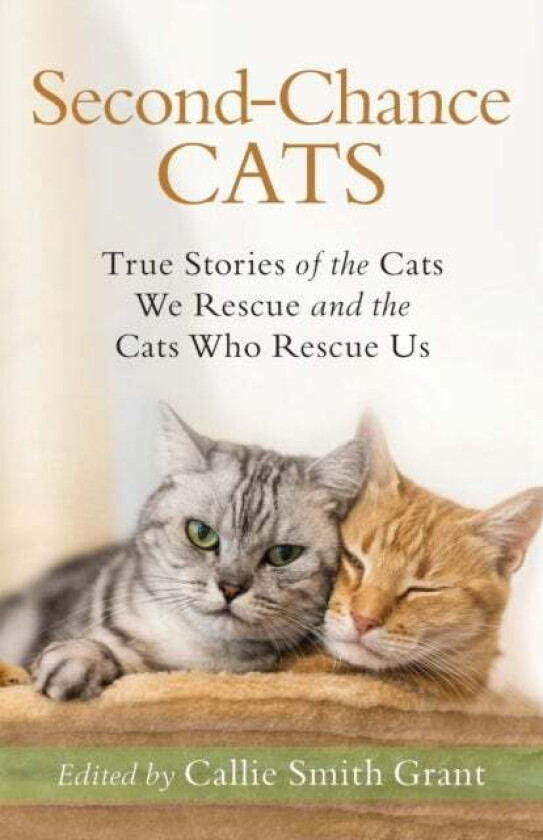 Second-Chance Cats - True Stories of the Cats We Rescue and the Cats Who Rescue Us av Callie Smith Grant