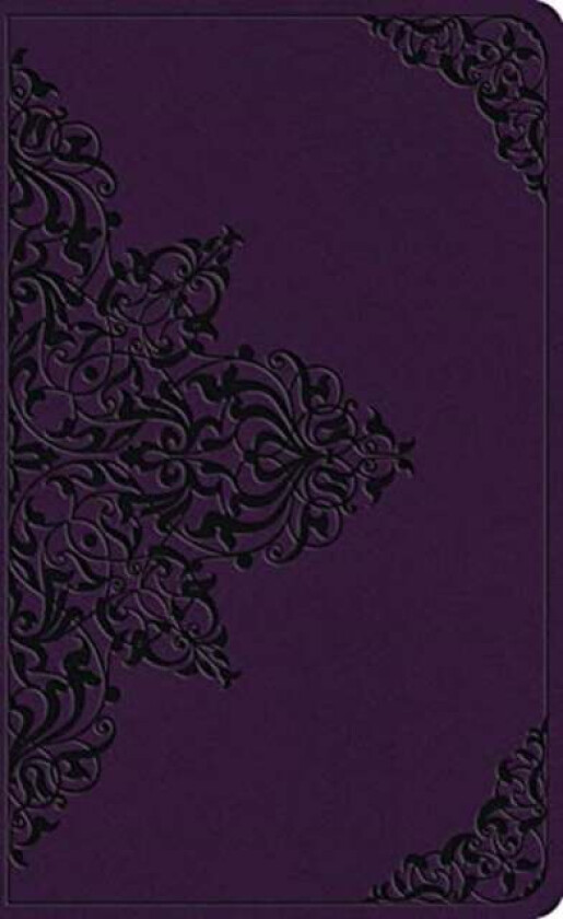 ESV Large Print Value Thinline Bible