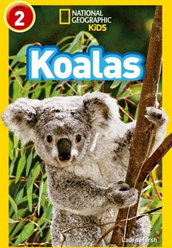 Koalas av Laura Marsh, National Geographic Kids
