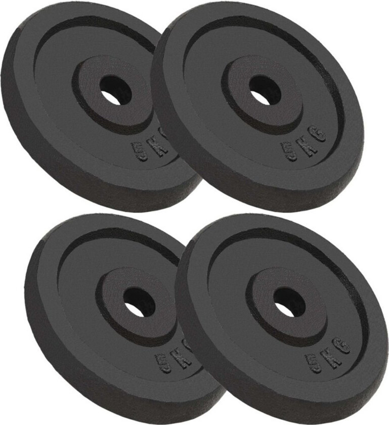Vektskiver 4 stk 4x5 kg støpejern