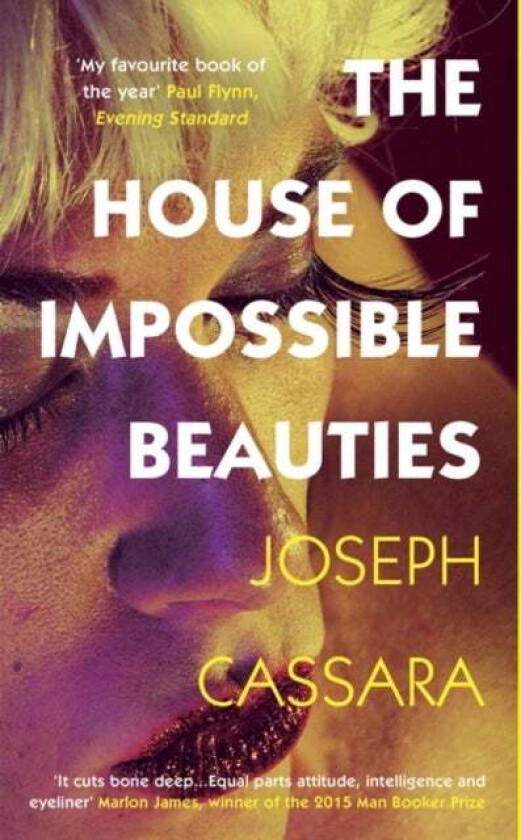 The House of Impossible Beauties av Joseph Cassara