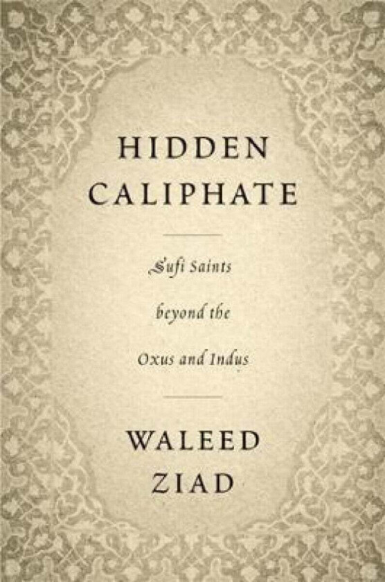 Hidden Caliphate av Waleed Ziad
