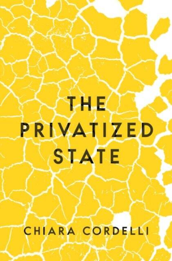 The Privatized State av Chiara Cordelli