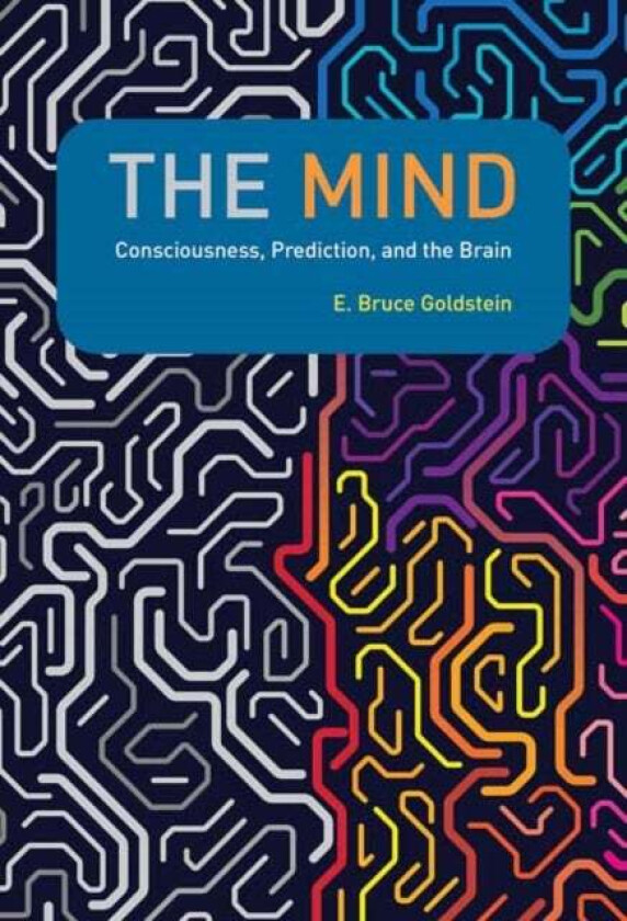 The Mind av E. Bruce Goldstein