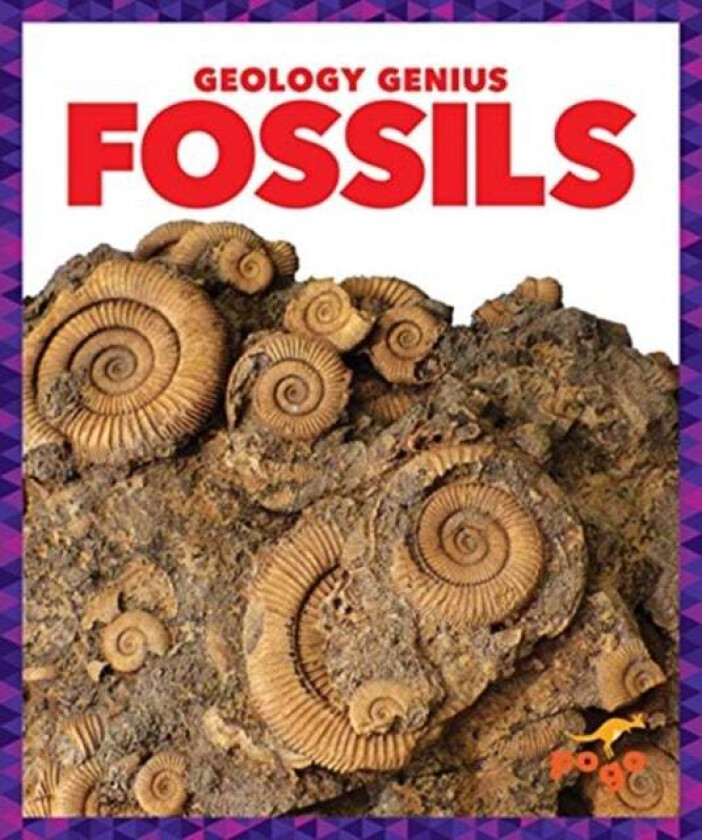 Fossils av Rebecca Pettiford